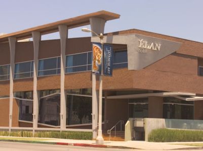 Elan